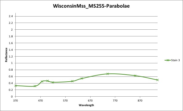 MS255-Parabolae - stain 3